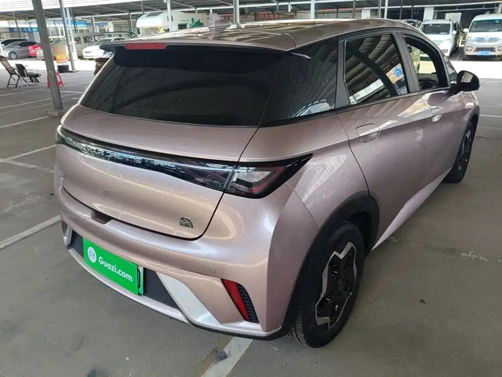 BYD Dolphin 2022
