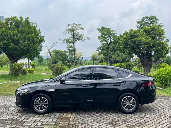 BYD Qin PLUS 2024
