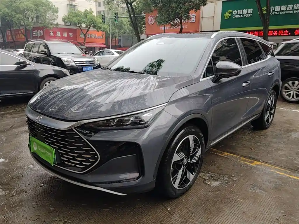 BYD Tang New Energy 2024 — фото 2
