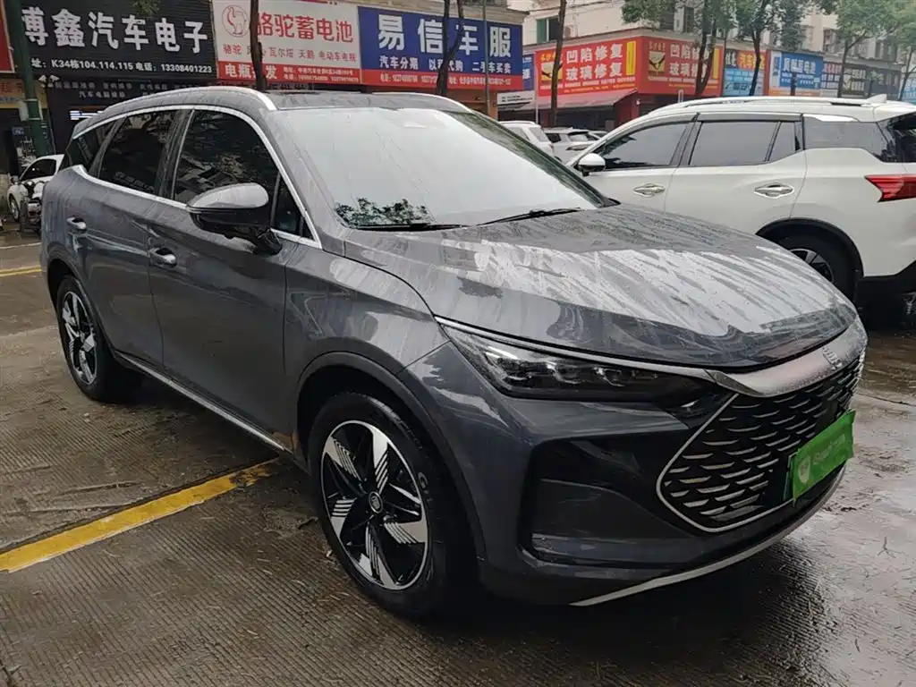 BYD Tang New Energy 2024 — фото 4