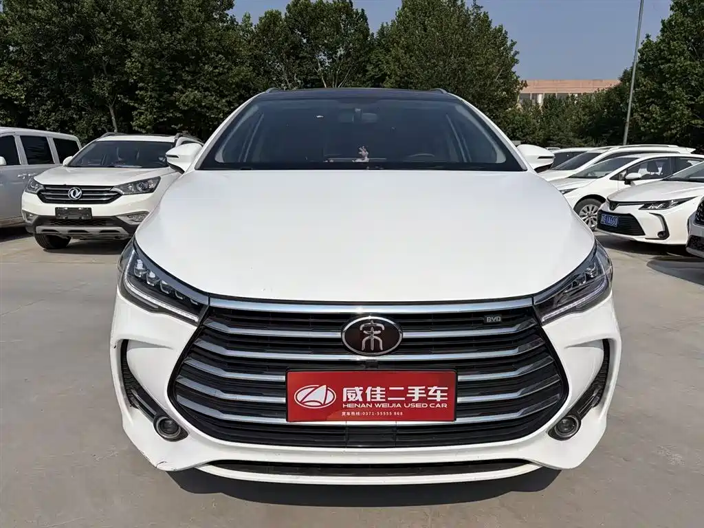 BYD MAX 2020