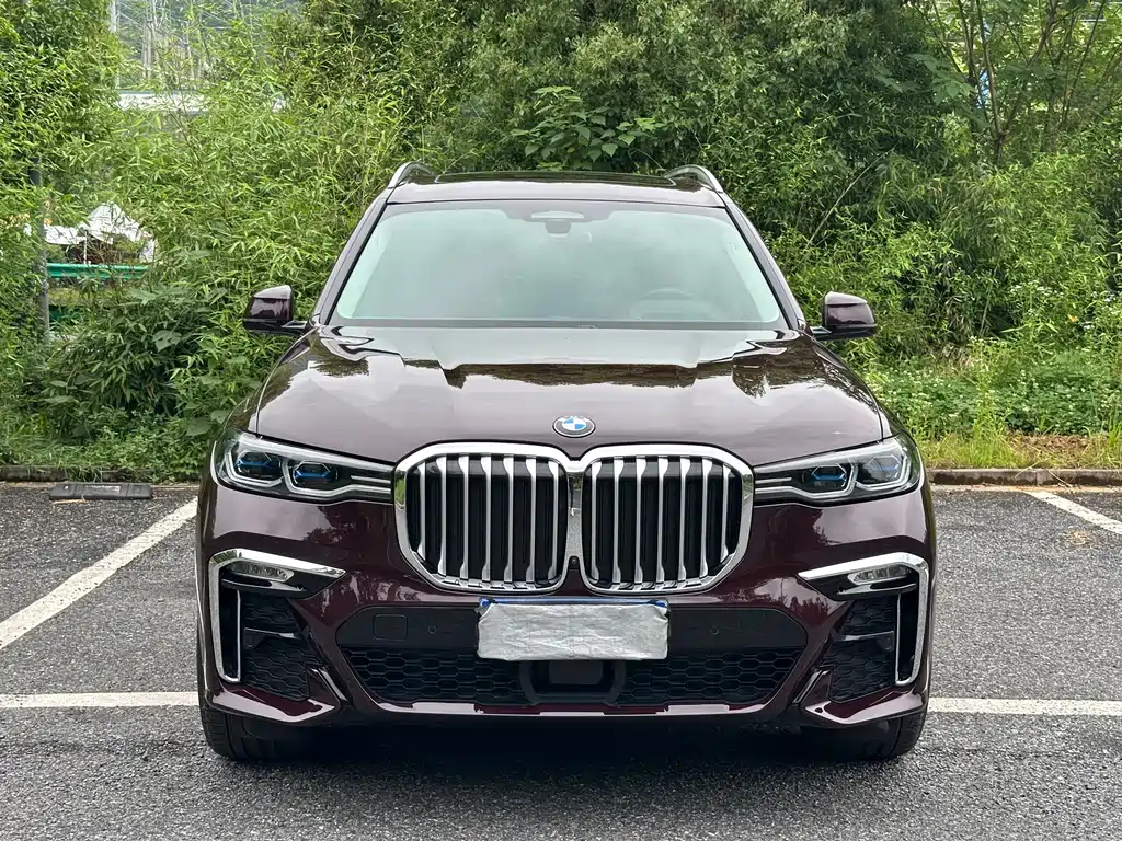 BMW X7 2021 — фото 2