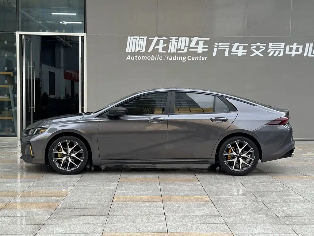 GAC Motor Shadow Leopard 2023 — фото 18