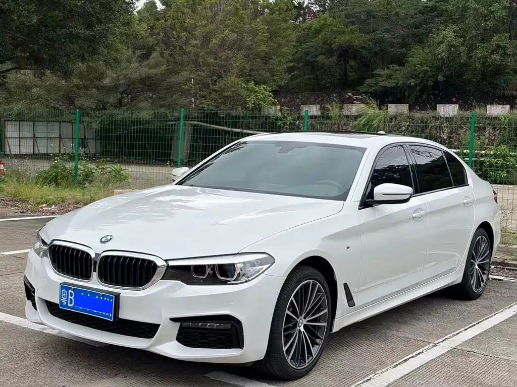 BMW 5 Series 2019 — фото 1