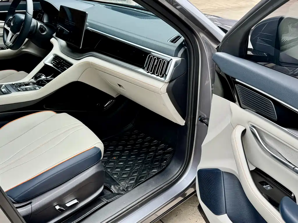 BYD Song PLUS New Energy 2023 — фото 12