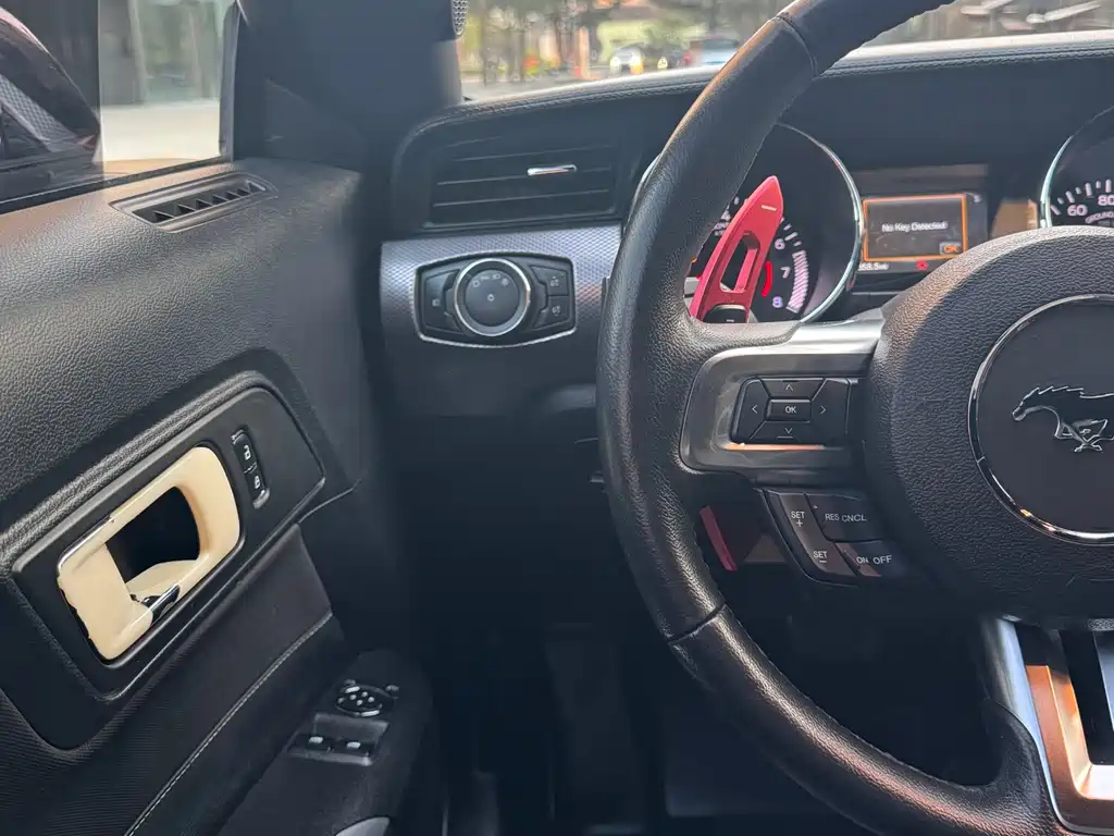 Ford Mustang 2015 — фото 19