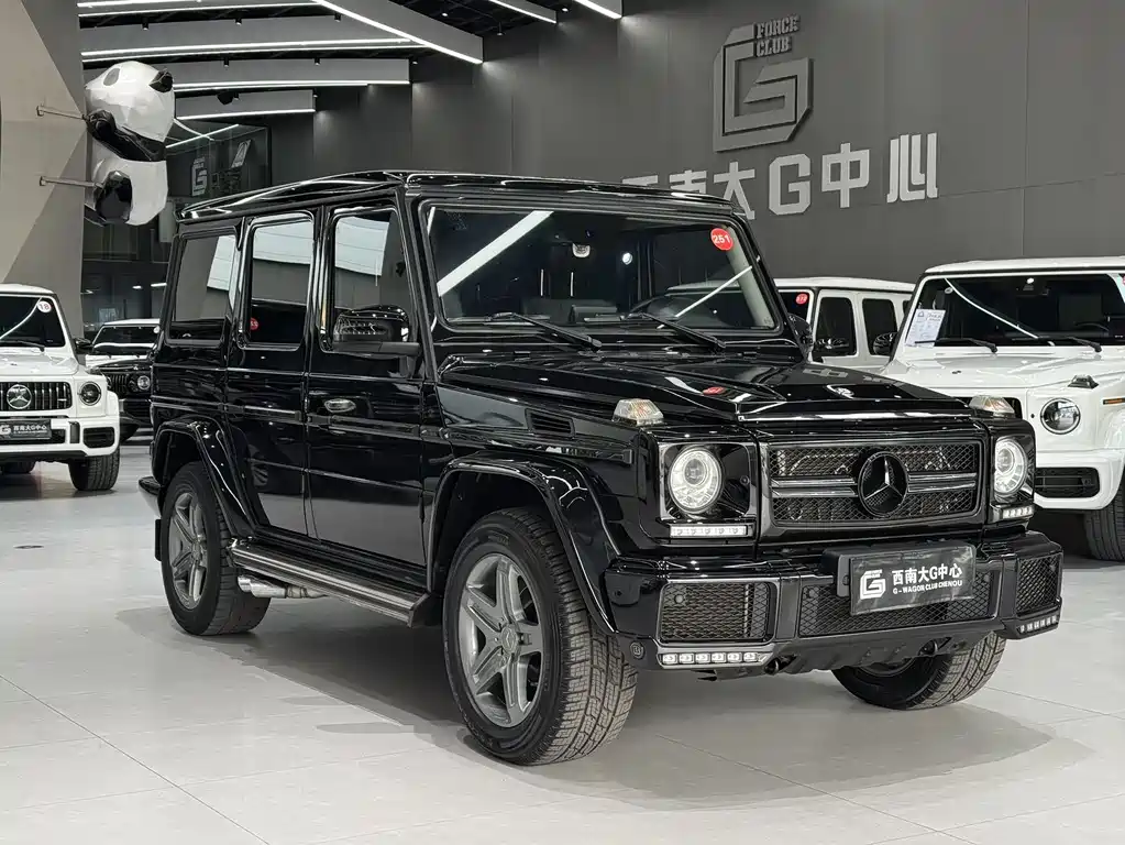 Mercedes-Benz G-Class 2017 — фото 1