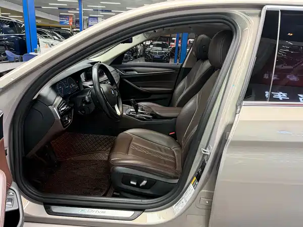 BMW 5 Series New Energy 2019
