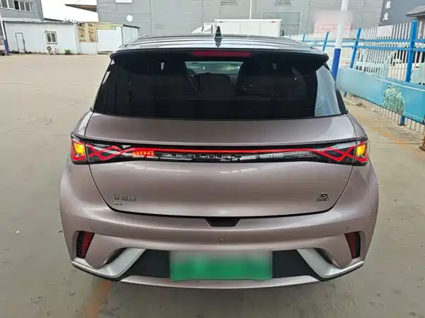 BYD Dolphin 2022