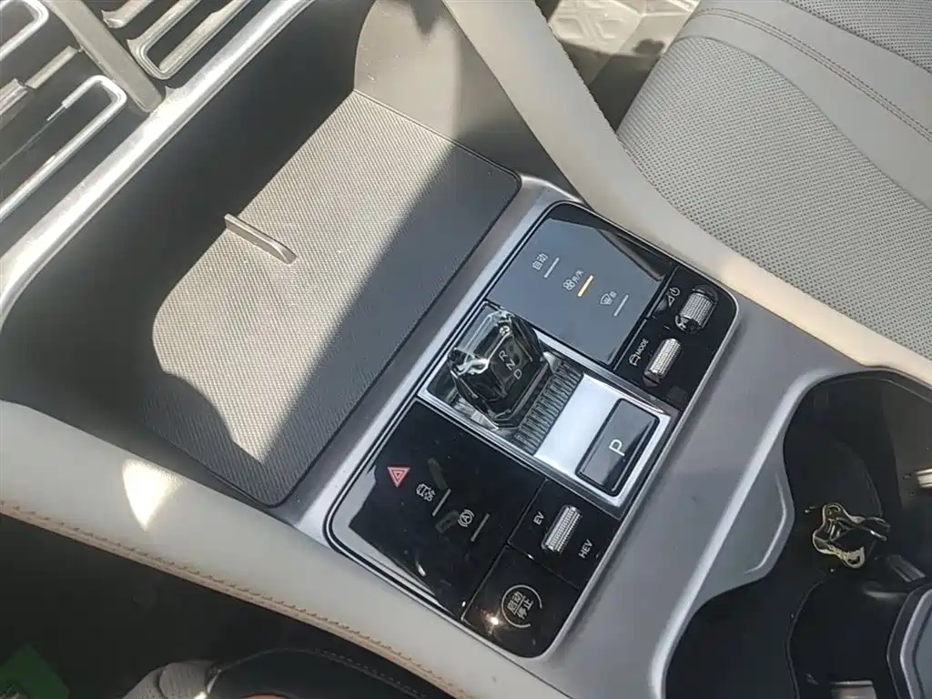 BYD PLUS New Energy 2023 — фото 14