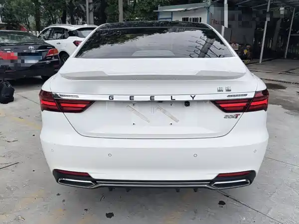 Geely Binrui 2019