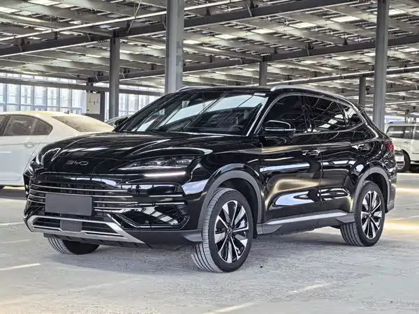 BYD Song PLUS New Energy 2024