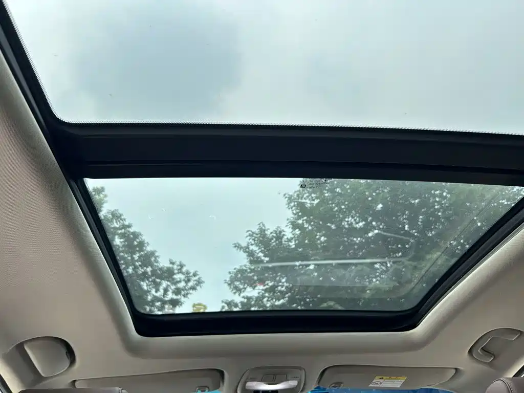 Buick GL6 2018