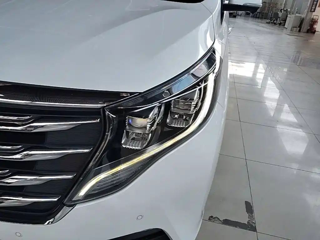 GAC Motor Trumpchi M8 2018 — фото 24