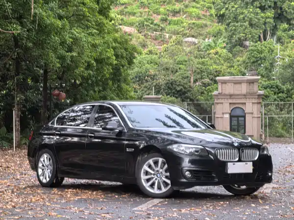 BMW 5 Series 2015