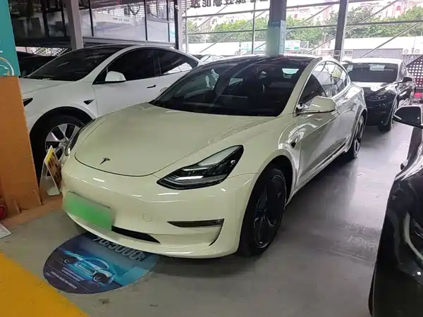 Tesla Model 3 2019