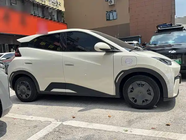 BYD Seagull 2024