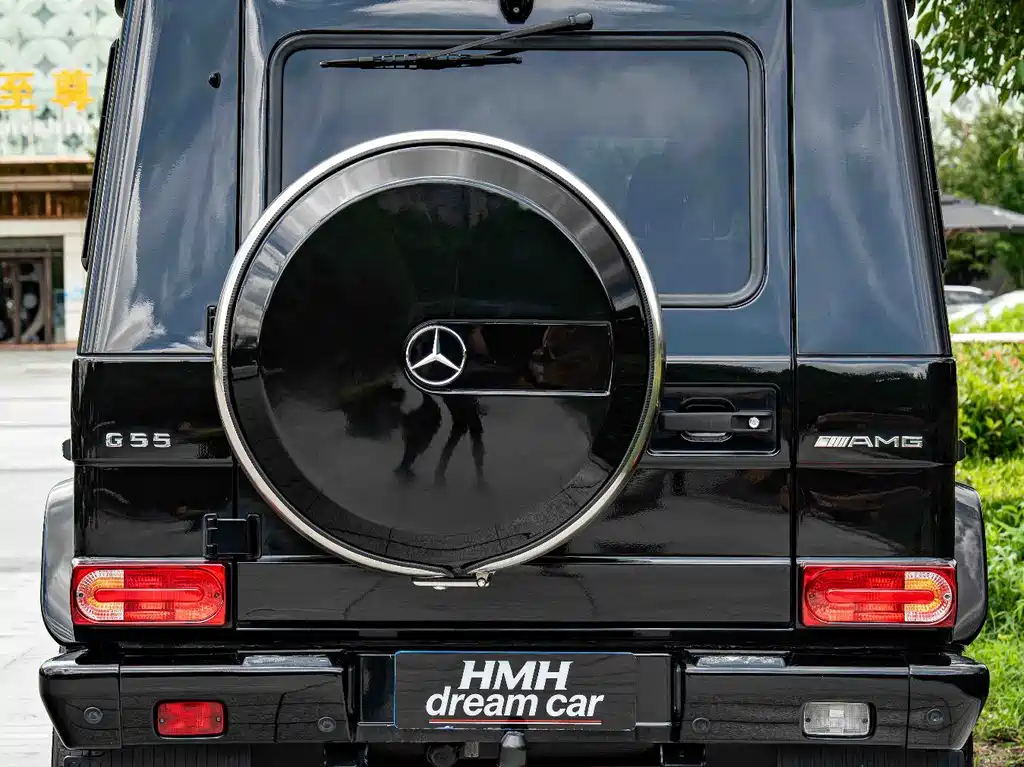 Mercedes-Benz G-Class AMG 2010 — фото 8
