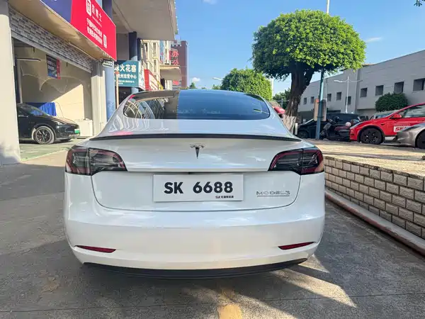 Tesla Model 3 2021
