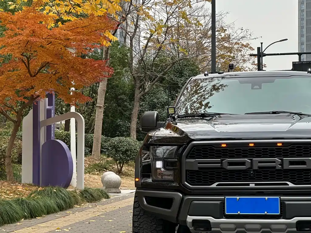 Ford F-150 Raptor 2018 — фото 7