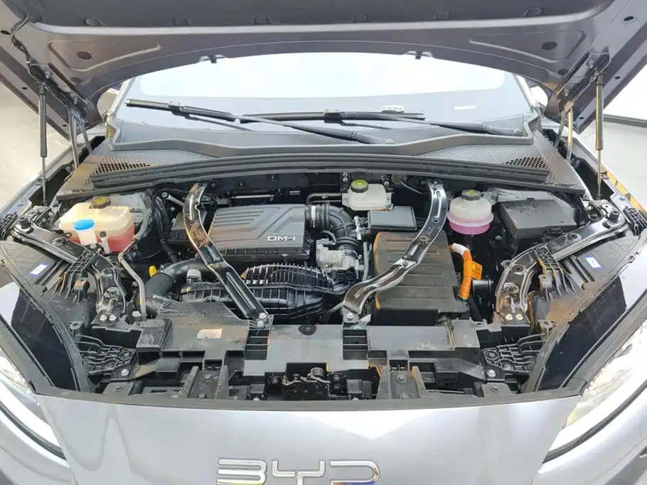 BYD Song PLUS New Energy 2024 — фото 10