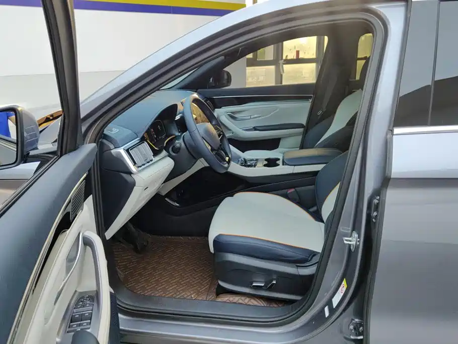 BYD Song PLUS New Energy 2024 — фото 9