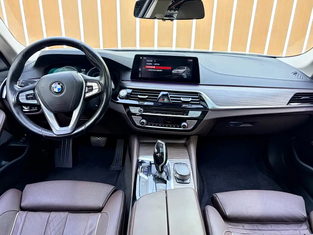 BMW 5 Series New Energy 2019