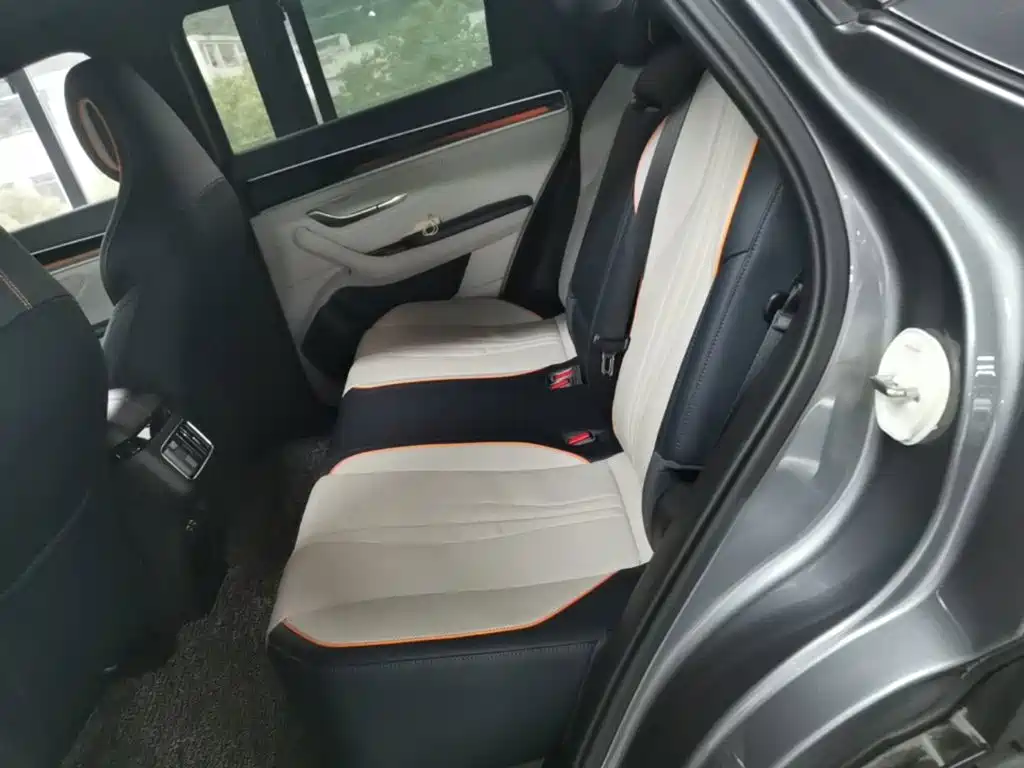 BYD PLUS New Energy 2023 — фото 13