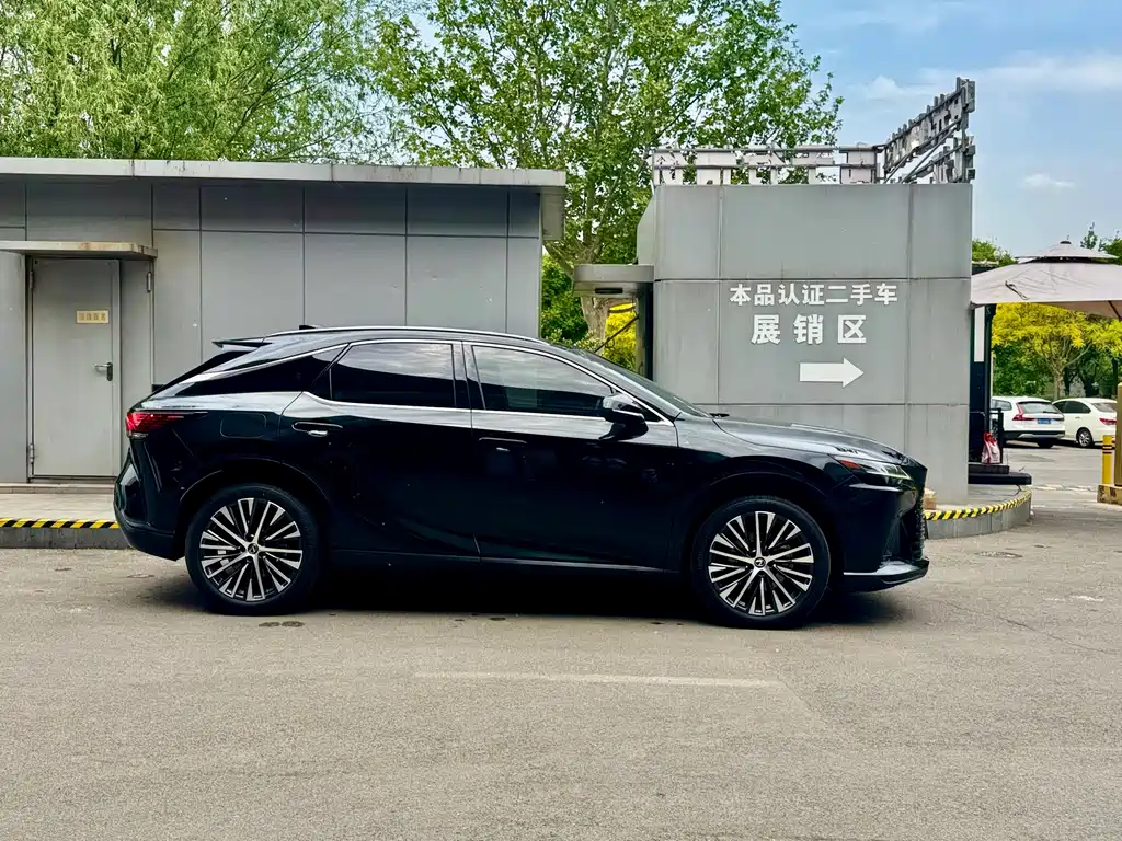 Lexus RX New Energy 2023 — фото 4