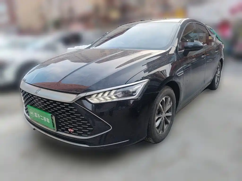 BYD Qin PLUS 2024 — фото 1