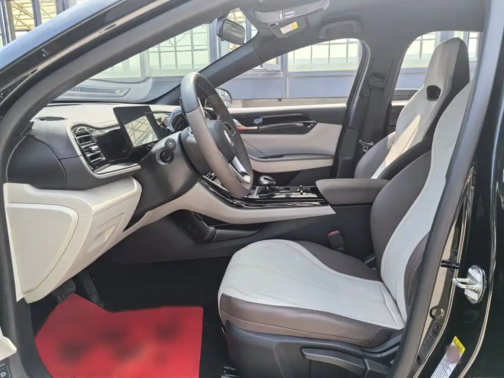 BYD Qin PLUS 2024 — фото 14