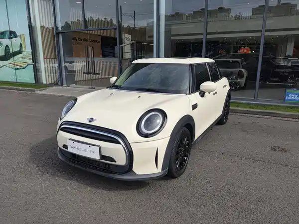 MINI MINI 2022