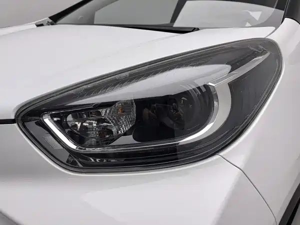 Chery eQ1 2021