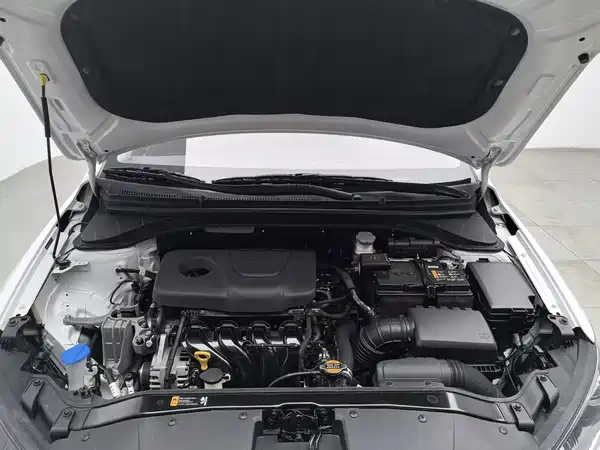 Hyundai Celesta 2018