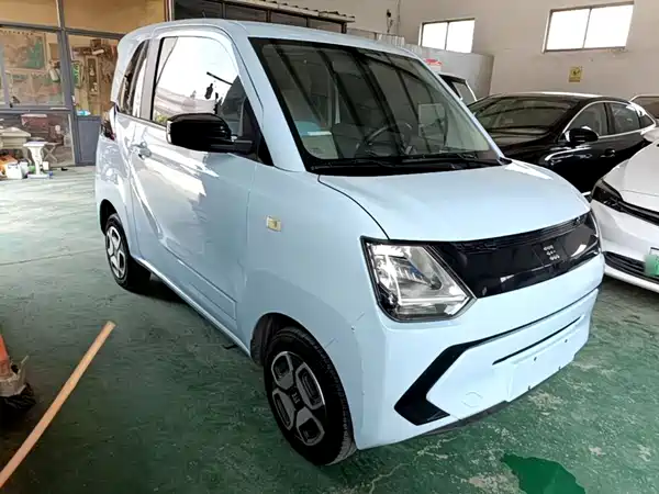 Dongfeng Scenery MINIEV 2022
