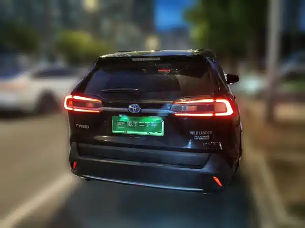 Toyota Weilanda New Energy 2022