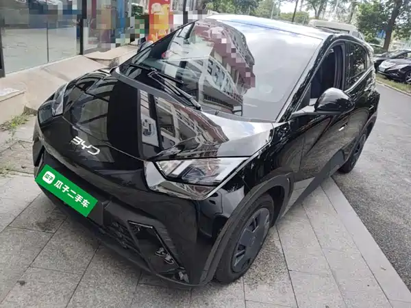 BYD Seagull 2025