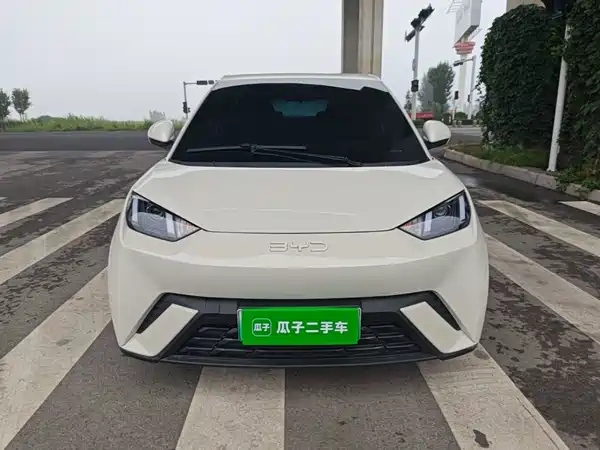BYD Seagull 2025