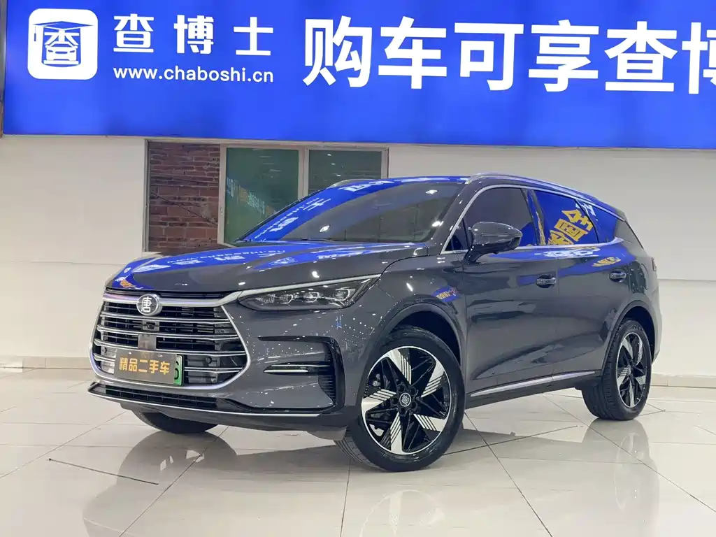 BYD Tang New Energy 2024 — фото 1