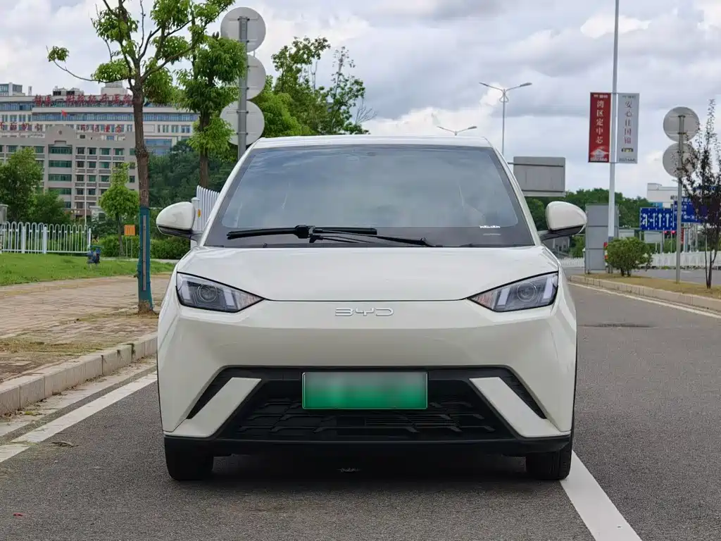 BYD Seagull 2024