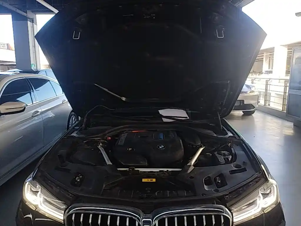 BMW 5 Series New Energy 2021 — фото 20
