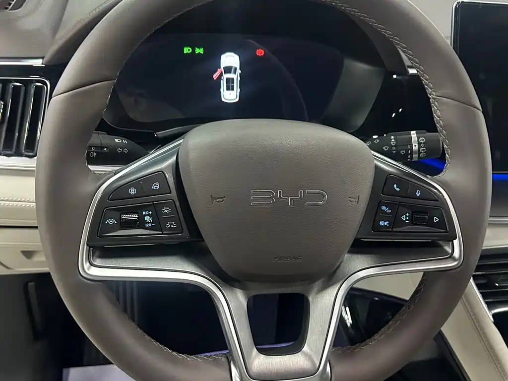 BYD Song PLUS New Energy 2024 — фото 14
