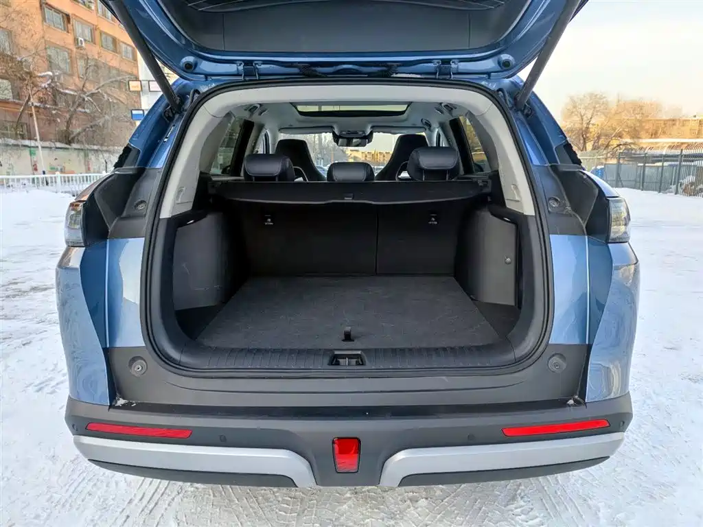 BYD Sealion 07 DM-i 2025 — фото 23