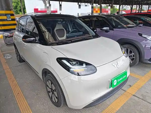 Wuling Bingo 2024