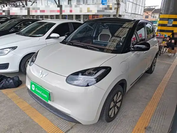 Wuling Bingo 2024