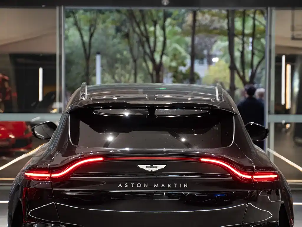 Aston Martin DBX 2021 — фото 12