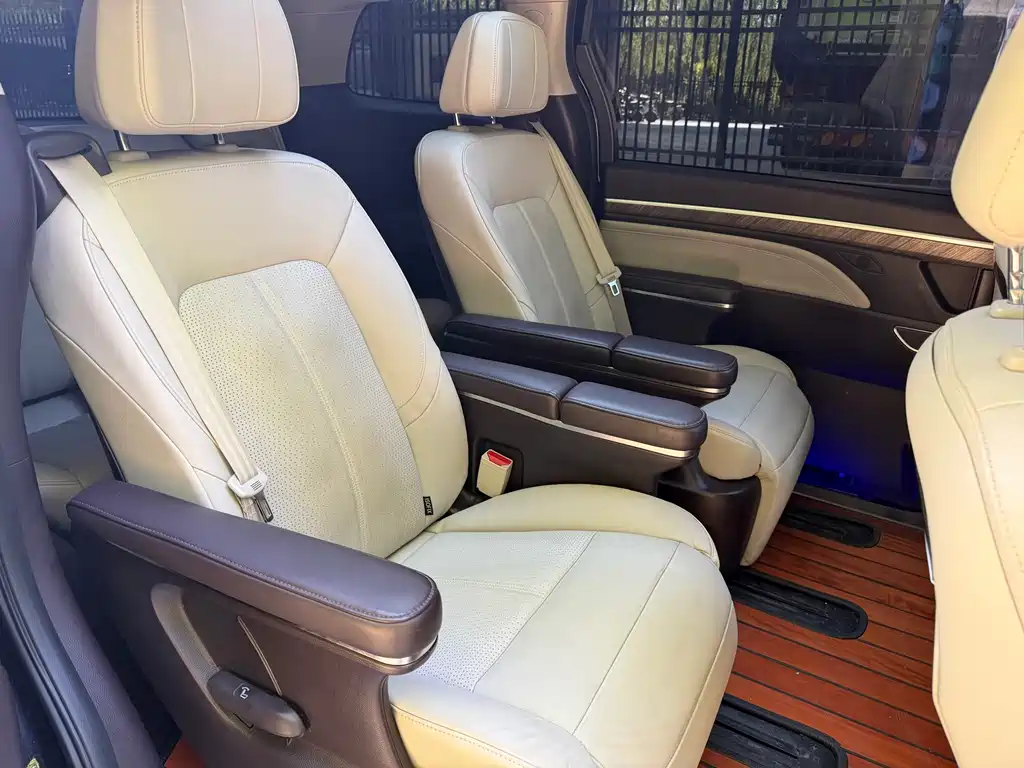 GAC Motor Trumpchi M8 2022 — фото 12