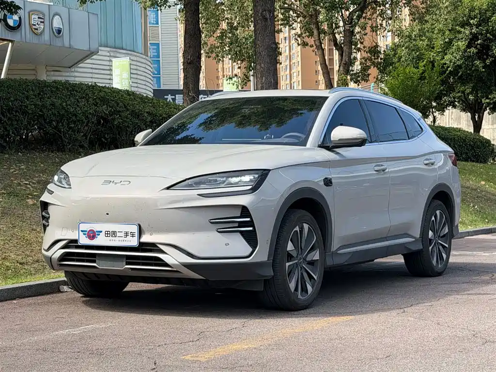 BYD PLUS New Energy 2025 — фото 1