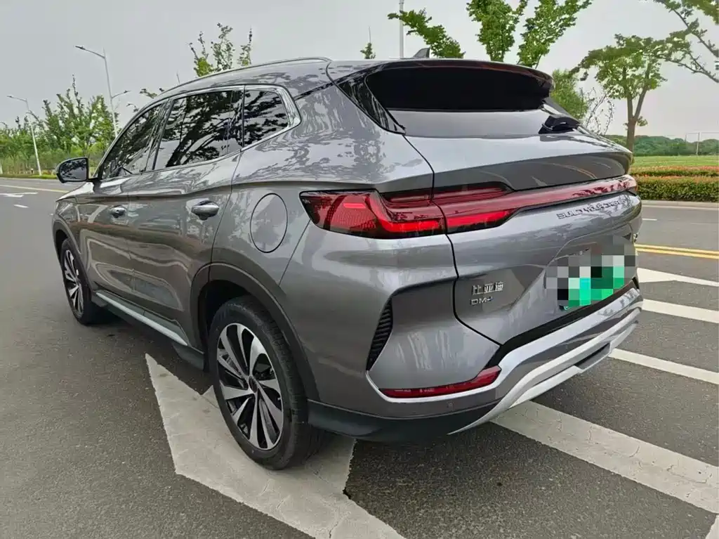 BYD PLUS New Energy 2024 — фото 10