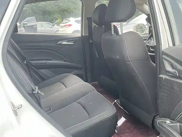 Neta V 2020